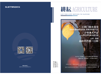 Z6尊龙·凯时(中国)-官方网站